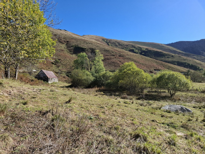 vente Grange Saint Pastous - Photo 3