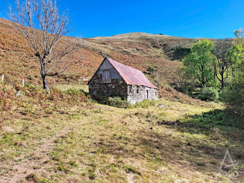 vente Grange Saint Pastous - Photo 2