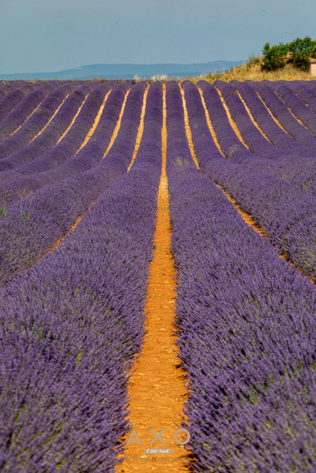 vente Terrain constructible Valensole - Photo 5