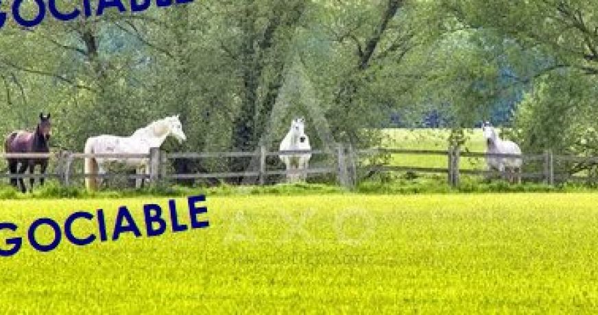 vente Haras / equestre Villemer