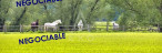 vente Haras / equestre Villemer