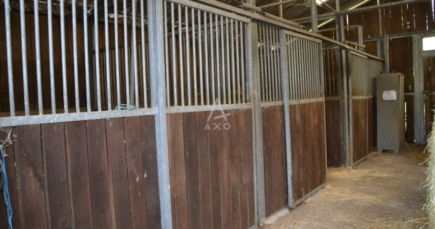 vente Haras / equestre Villemer