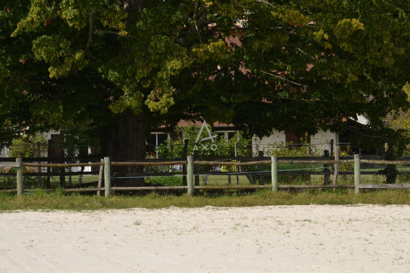 vente Haras / equestre Villemer - Photo 8