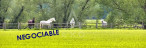 vente Haras / equestre Villemer