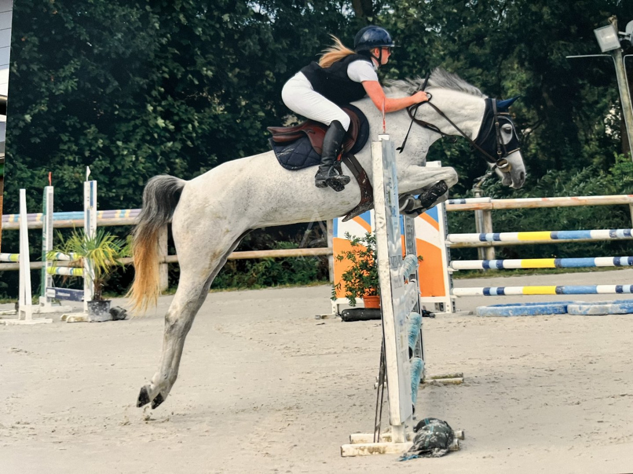 vente Haras / equestre Villemer - Photo 2