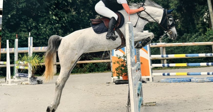 vente Haras / equestre Villemer