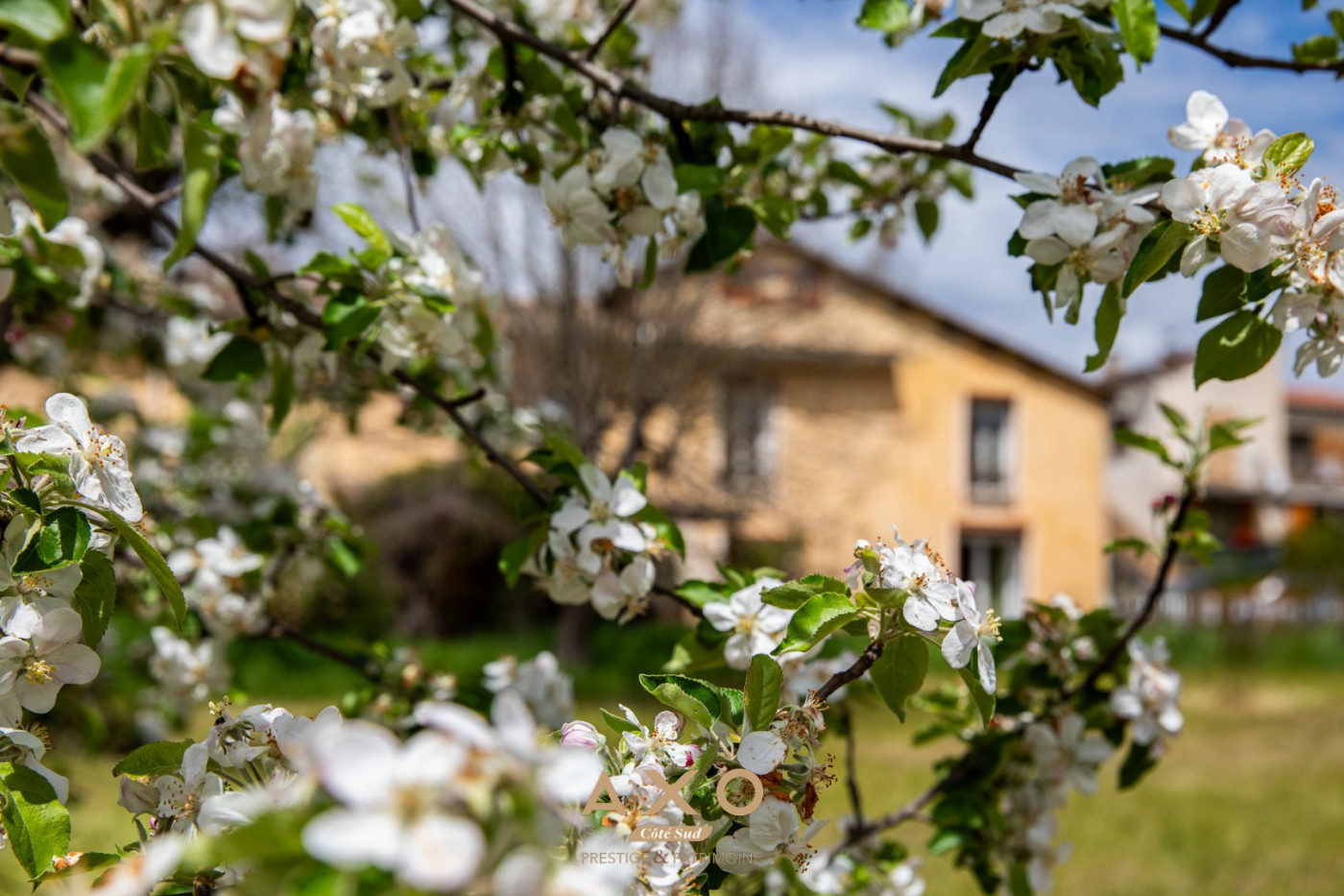 vente Propriété Le Brusquet - Photo 4