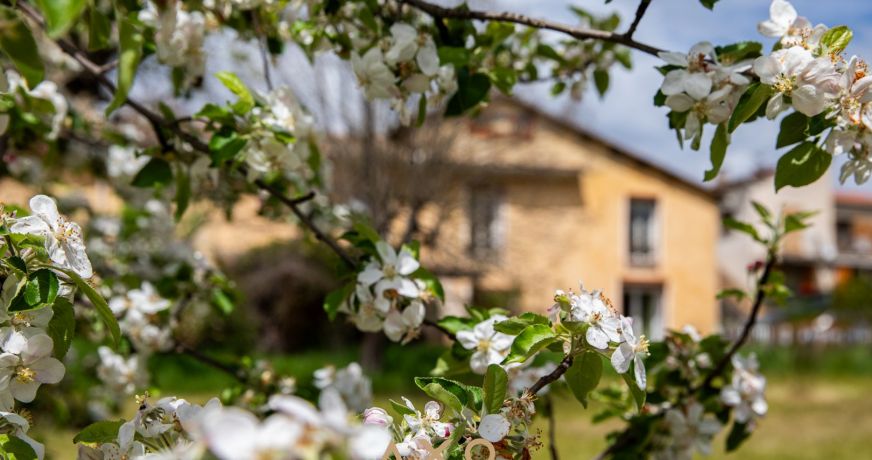 vente Propriété Le Brusquet