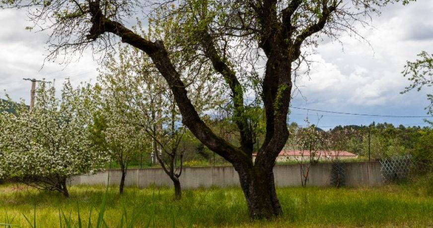 vente Propriété Le Brusquet