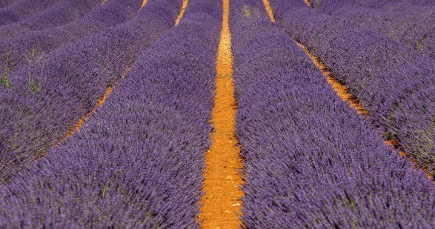 vente Terrain constructible Puimoisson