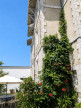 vente Maison Salies De Bearn