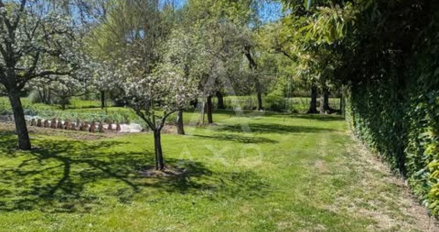 vente Maison de maître Aulnay