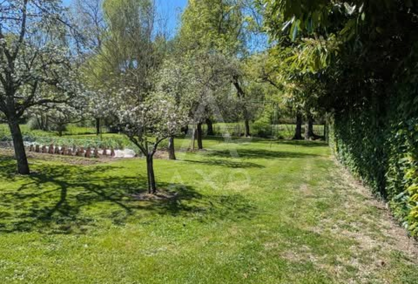 vente Maison de maître Aulnay - Photo 3