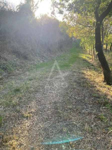 vente Terrain de loisir Lieuran Cabrieres - Photo 7