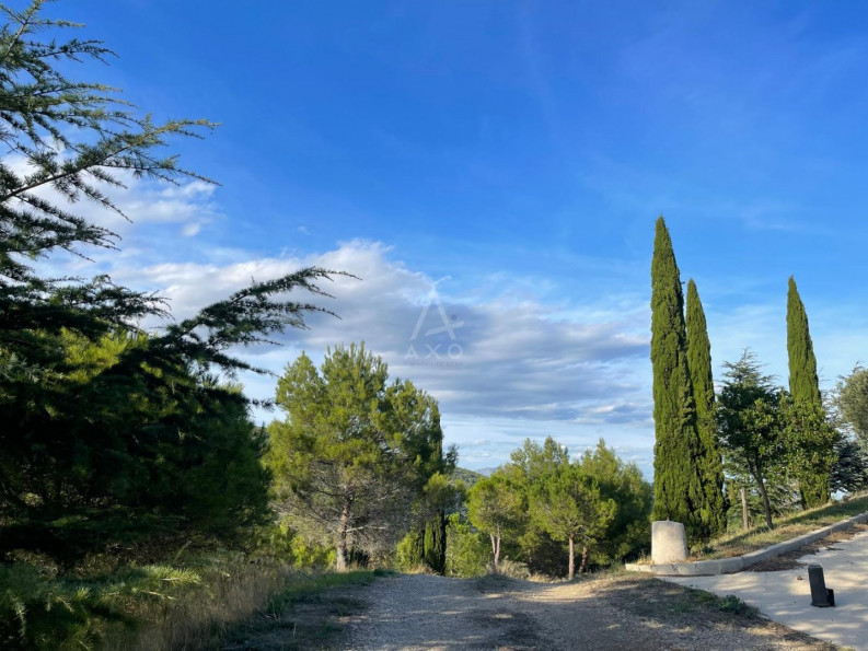 vente Terrain de loisir Lieuran Cabrieres - Photo 8