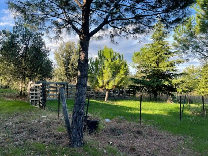 vente Terrain de loisir Lieuran Cabrieres - Photo 2