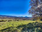 vente Terrain agricole Puimoisson