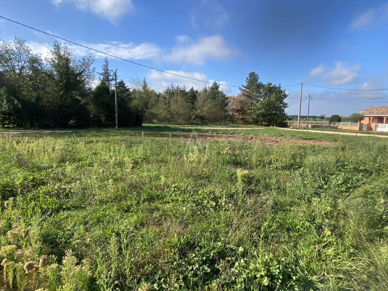 vente Terrain constructible Villemur-sur-tarn - Photo 3