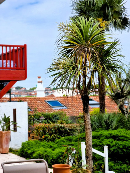 vente Appartement en rez de jardin Ciboure - Photo 1