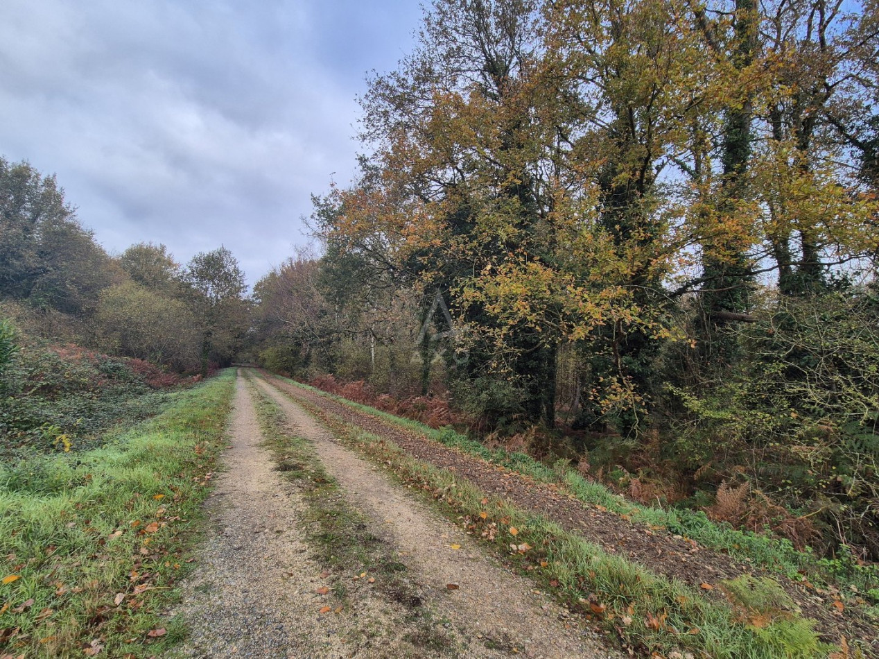 vente Maison Longue Jumelles - Photo 4