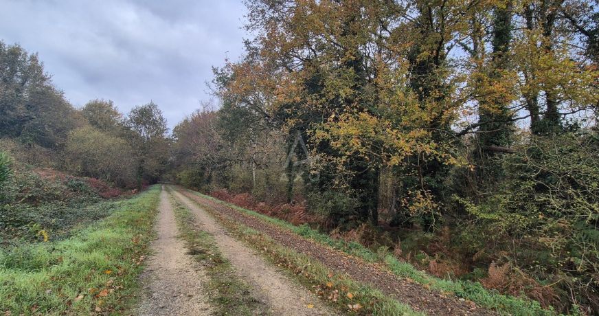 vente Maison Longue Jumelles