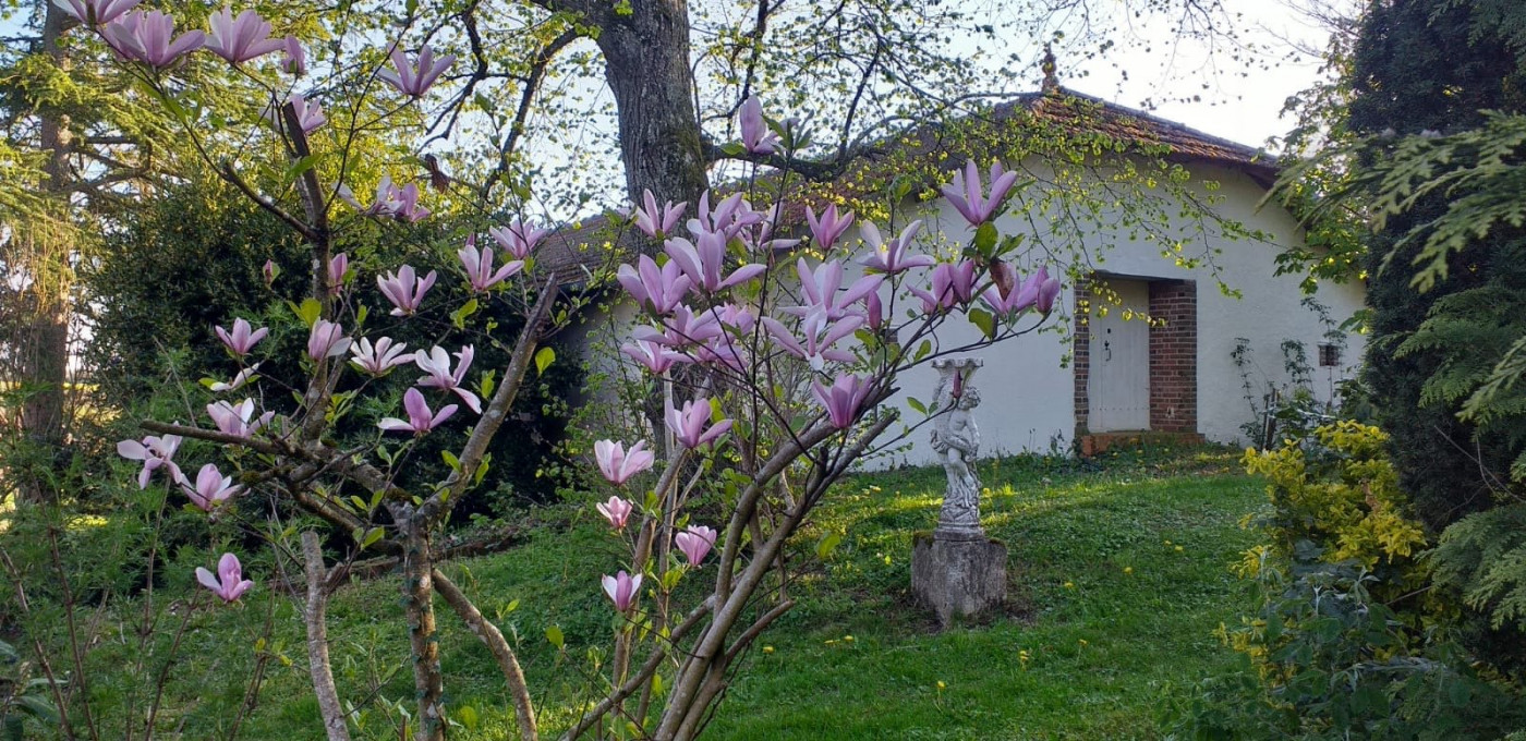 vente Maison de caractère Bonny Sur Loire - Photo 8
