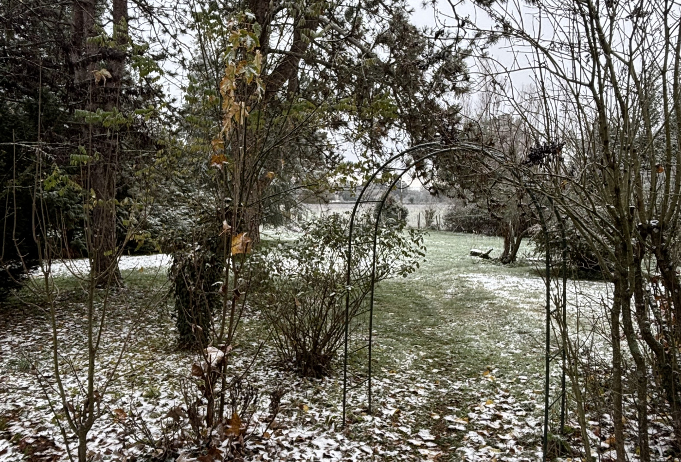 vente Maison de caractère Bonny Sur Loire - Photo 4