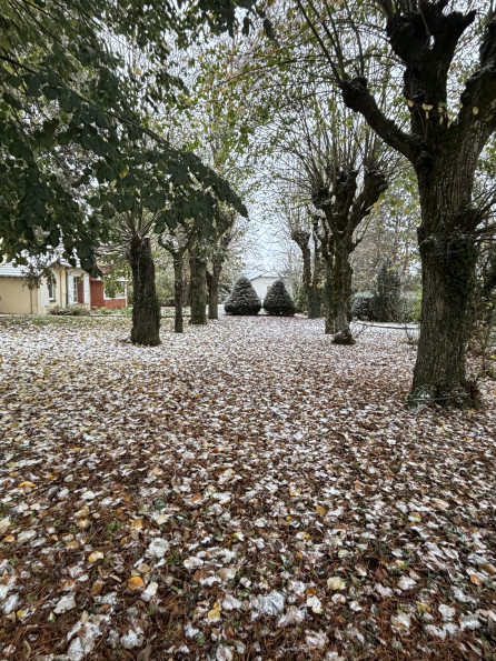 vente Maison de caractère Bonny Sur Loire - Photo 3