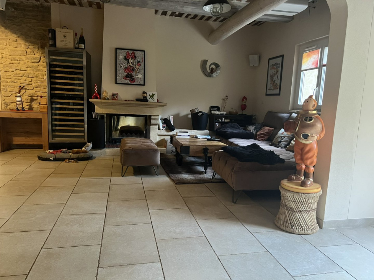 vente Mas L'isle Sur La Sorgue - Photo 9