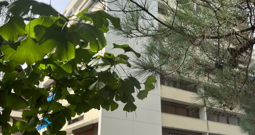 vente Appartement terrasse Pessac