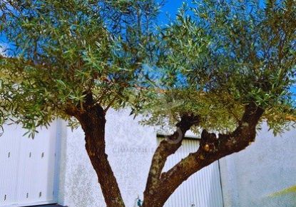 vente Maison Croix Chapeau