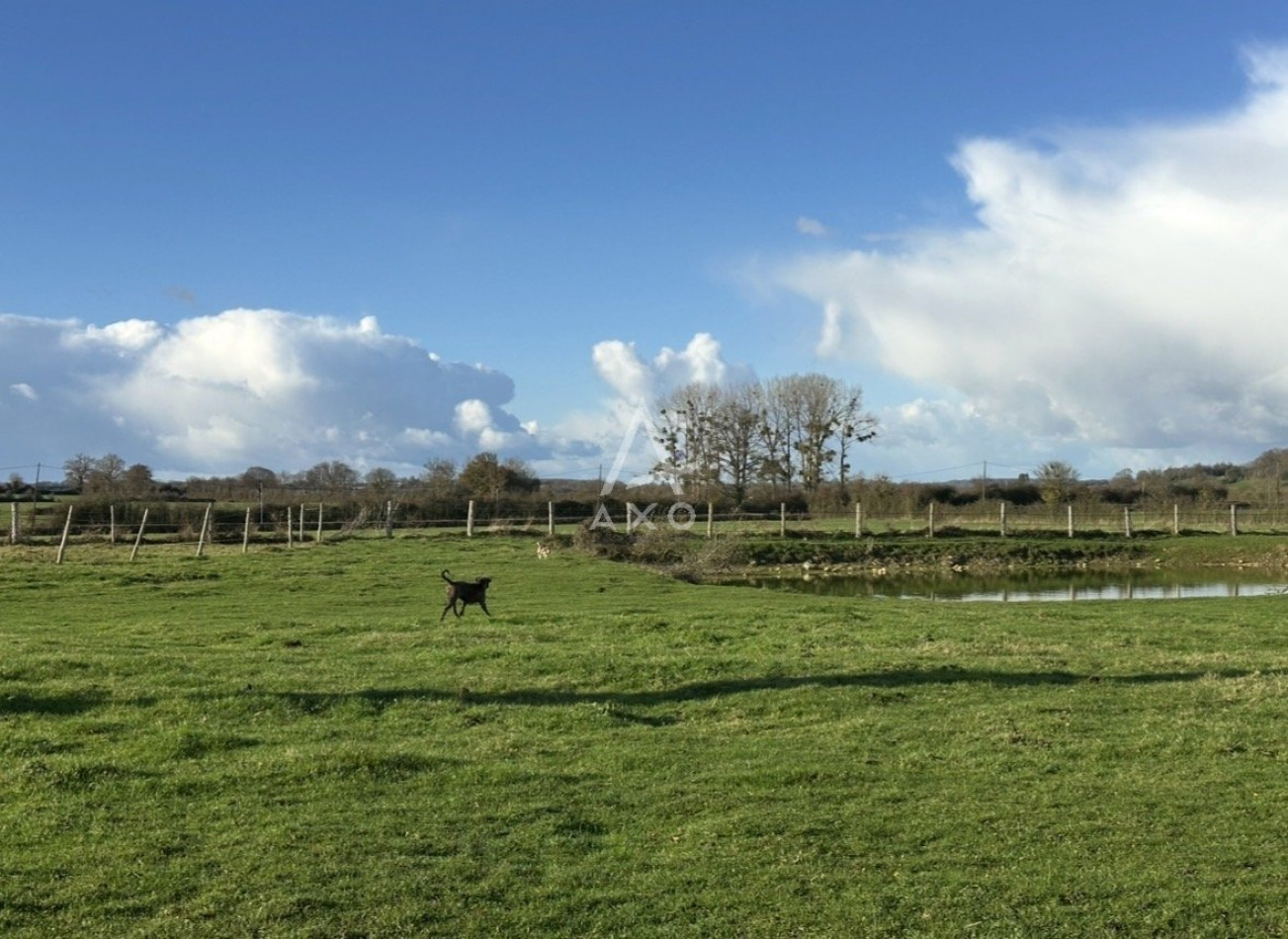 vente Haras / equestre Sees - Photo 19