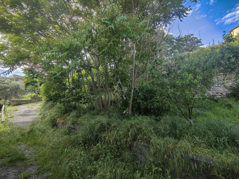 vente Grange Puimoisson - Photo 6