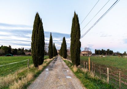 vente Propriété Aimargues