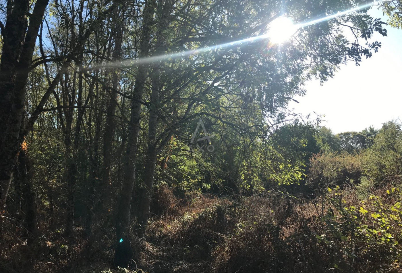 vente Maison Saint Etienne Du Bois - Photo 2
