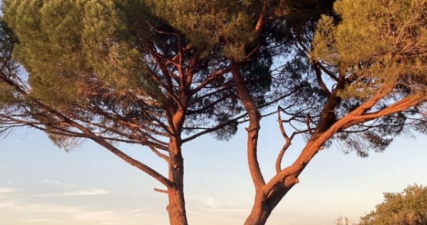 vente Maison Sainte Anastasie