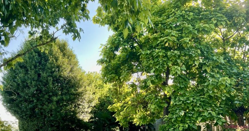 vente Demeure Parempuyre