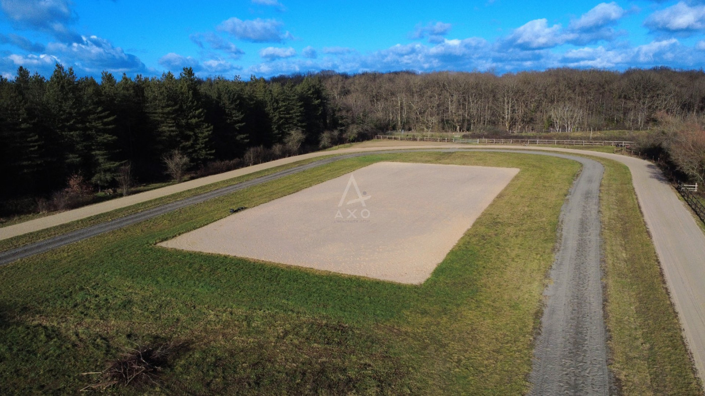 vente Terrain agricole Precigne - Photo 8