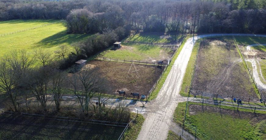 vente Haras / equestre Precigne