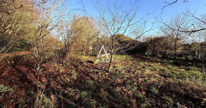 vente Terrain Bannalec