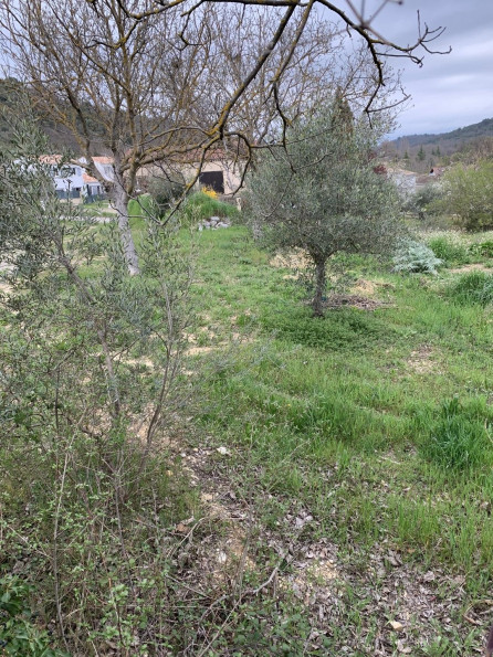 vente Terrain Riez - Photo 4