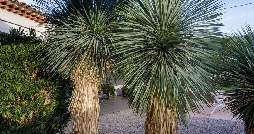 vente Maison Saint Cannat