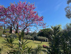 vente Terrain constructible Clermont L'herault