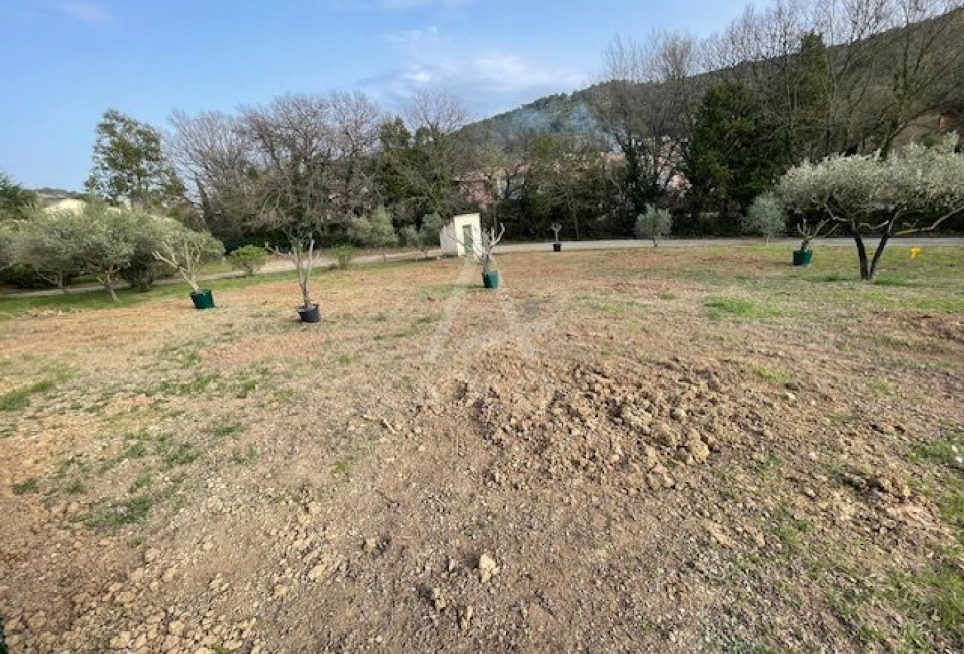 vente Terrain constructible Clermont L'herault - Photo 5