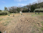 vente Terrain constructible Clermont L'herault