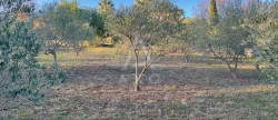 vente Terrain constructible Clermont L'herault