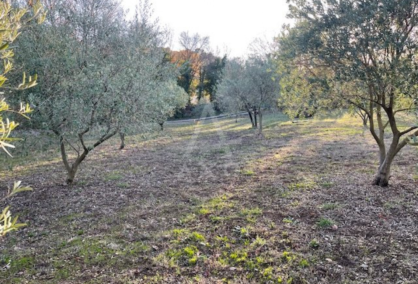 vente Terrain constructible Clermont L'herault - Photo 2