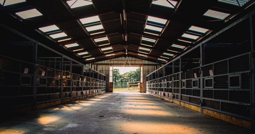 vente Haras / equestre La Ferte Mace