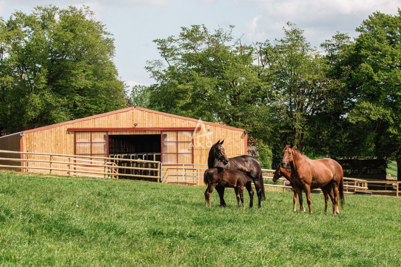 vente Haras / equestre La Ferte Mace - Photo 1
