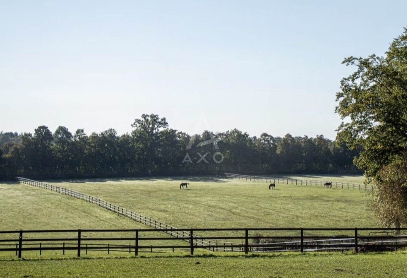 vente Haras / equestre La Ferte Mace - Photo 5